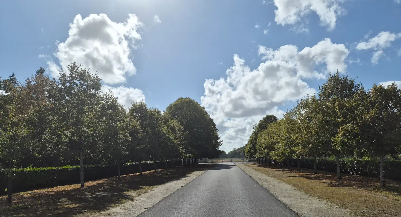 L'allée qui mène à l'ancien château de Saint-Mars-la-Jaille, sur le domaine de la Ferronnays.