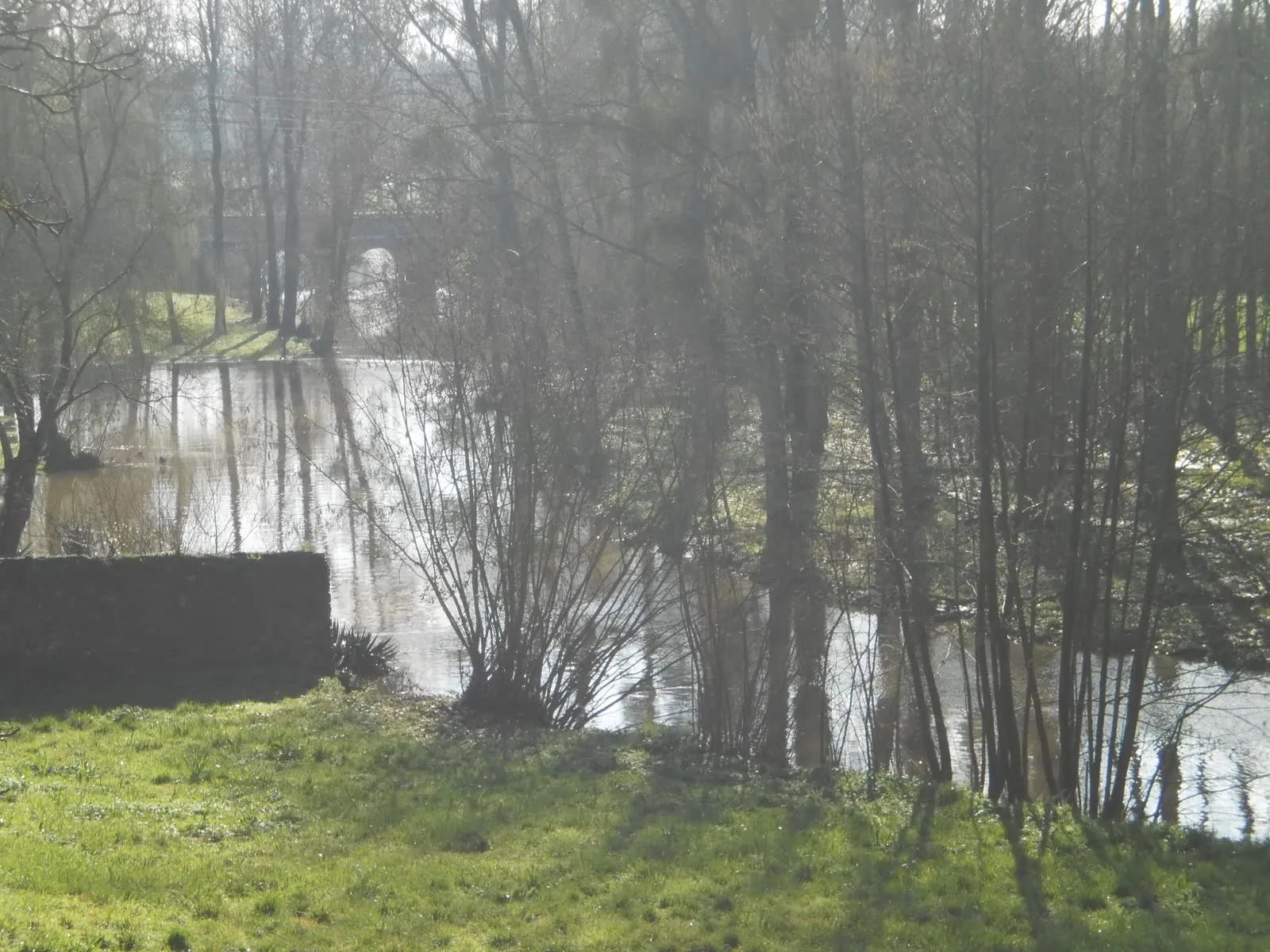 Randonnées et Balades à Vallons-de-l'Erdre : les plus beaux circuits