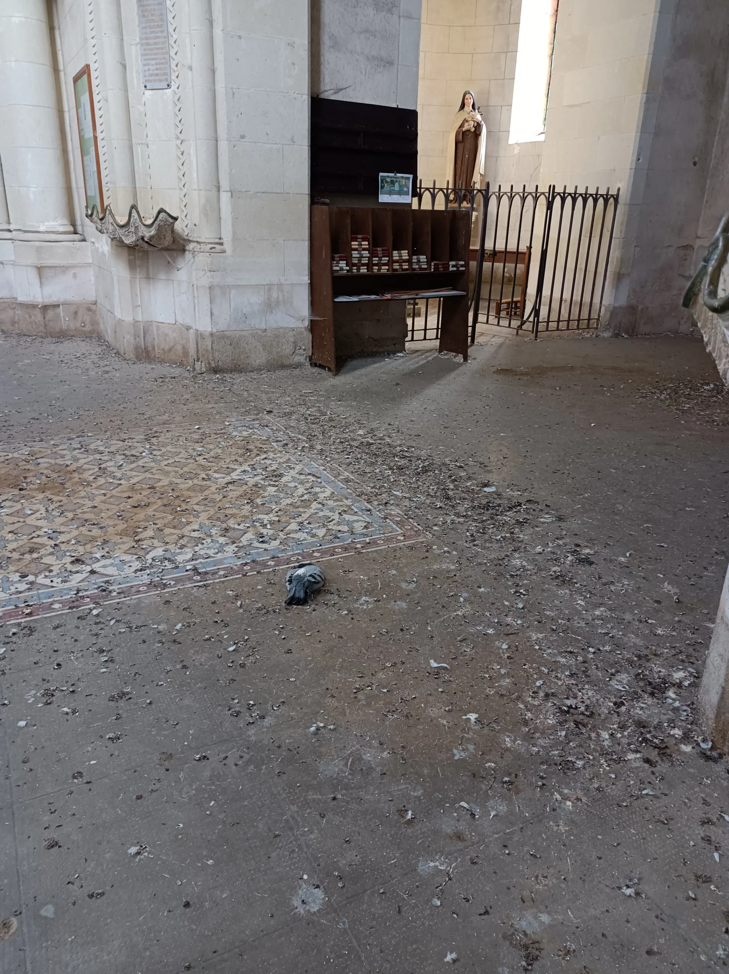 L'intérieur de l'église pendant sa fermeture : sol jonché de fientes et de plâtras, témoin de l'urgence qui a mobilisé l'association.