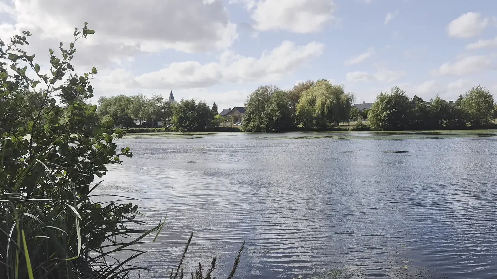 Que Faire à Vallons-de-l'Erdre ? Les Incontournables des 6 Villages